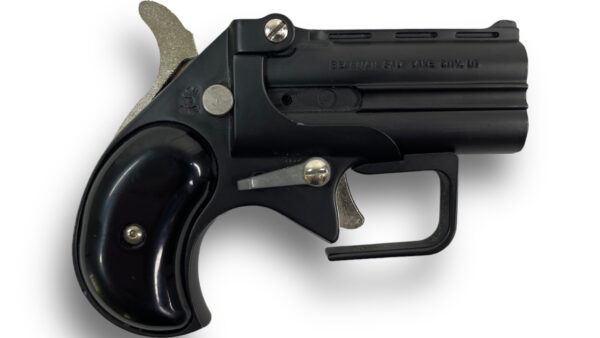 Bearman BBG9 Derringer 9mm 2.75" Black w/ Trigger Guard - Image 2