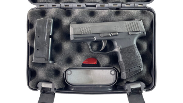 Sig Sauer P365 9mm 3.1" 10rd Night Sights Safety - 2 Mags OG Case