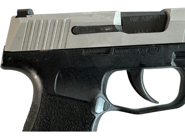 Sig Sauer P365 Stainless 9mm 3.1" 12rd & 10rd - 3 Mags - Image 8