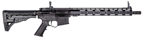 ET Arms EtaOmega 5.56mm 16" with Smith & Wesson*CA*