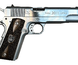 American Precision Firearms 1911 2nd Country 45ACP 5" Stainless Steel