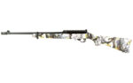 Ruger 10/22 22LR 18.5" Fifth Edition Black