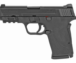 Smith & Wesson M&P9 SHIELD EZ M2.0 9mm 3.68" Black